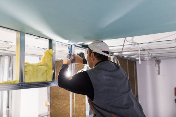 Best Cellulose Insulation in Waco, TX